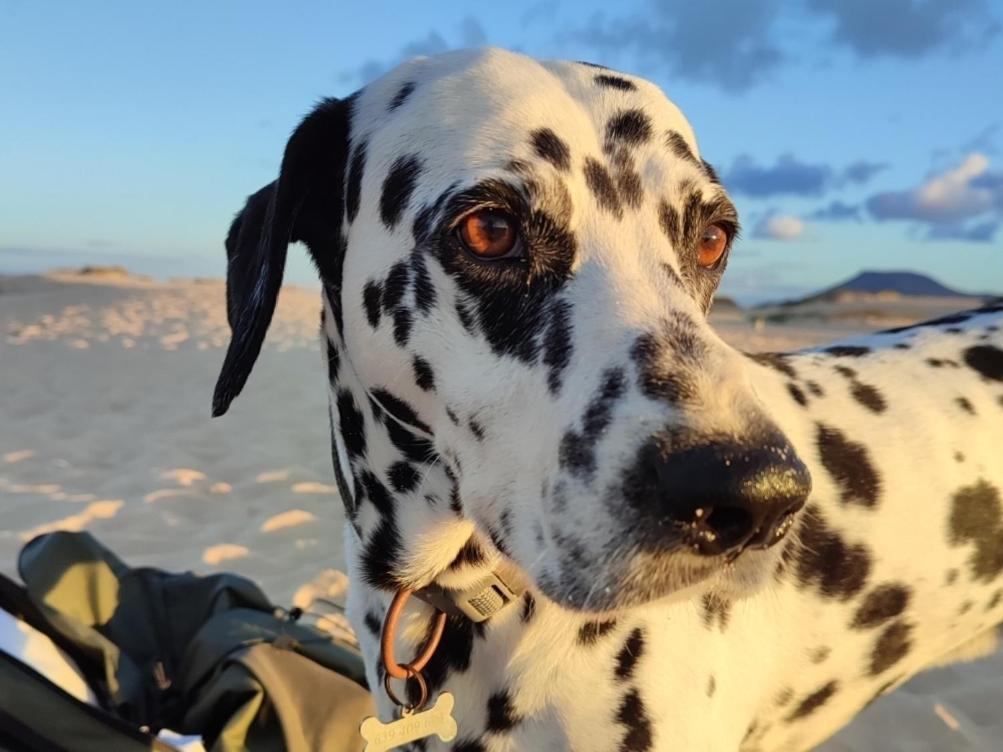Fuerteventura Casa Tikuna ลาโอลีวา ภายนอก รูปภาพ